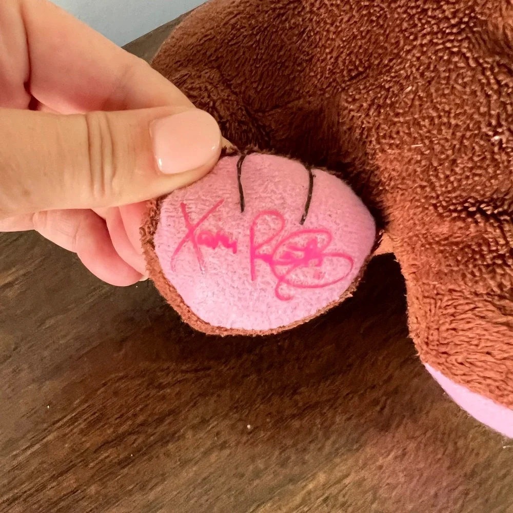 Cabbage Patch Kids Adoptimals Brown Dachshund Dog Plush Pink Paws Xavier Roberts